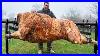 Roasting-A-Huge-Bull-On-A-Steel-Spit-The-Best-Meat-I-Ve-Tasted-01-hay
